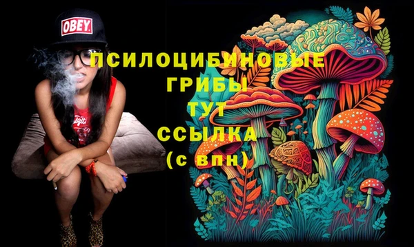 тгк Осташков
