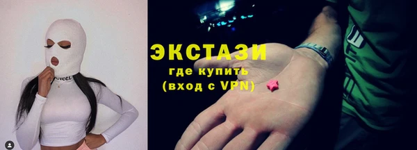 винт Галич