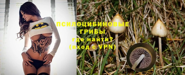 соль ск Няндома