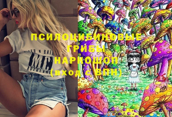 стафф Дмитров