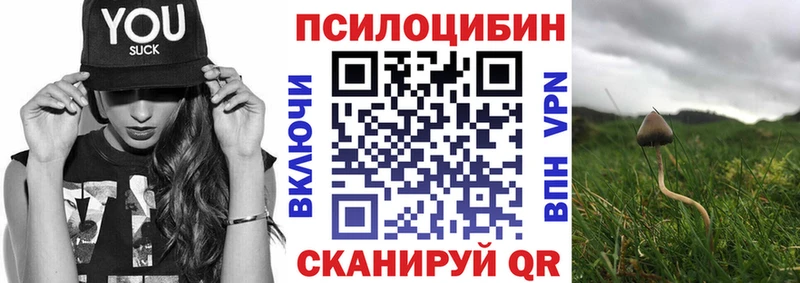Псилоцибиновые грибы мухоморы  Пошехонье 